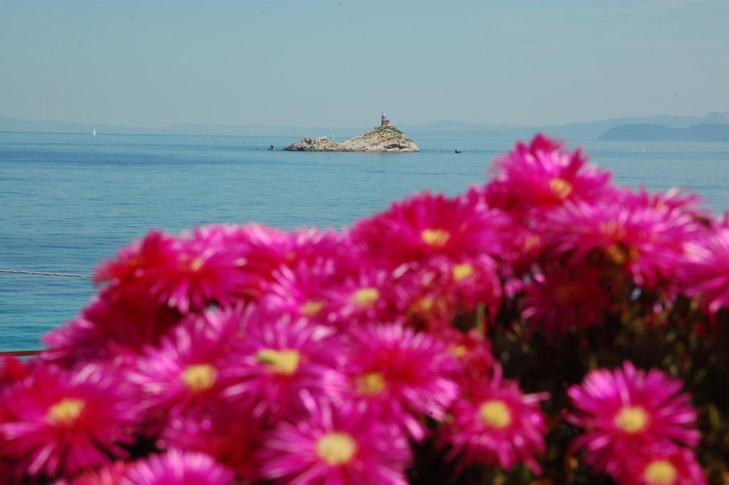 Hotel Villa Ombrosa Portoferraio Room photo
